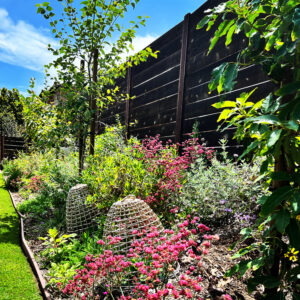 Native Garden Installation