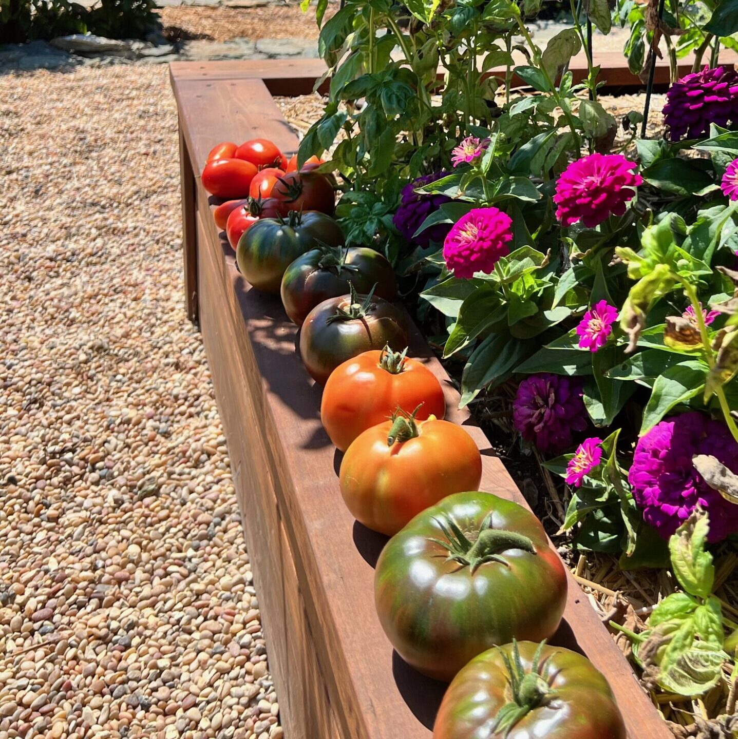 Edible Gardens