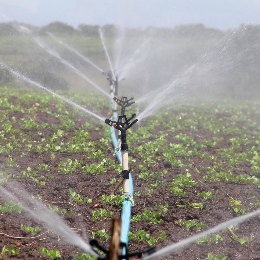 Irrigation